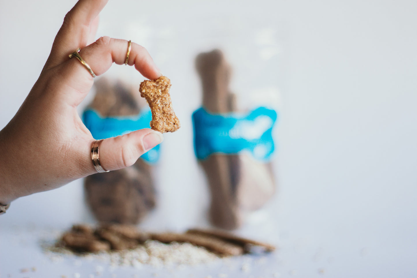 Barkery Bites Apple and Oatmeal Dog Biscuits