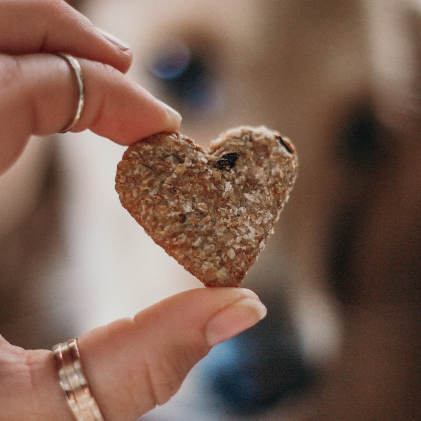 Lambs Liver Dog Treats