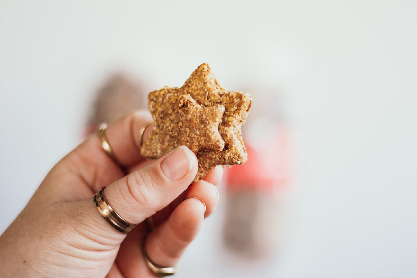 Beef and Vegetable treats